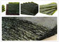 Alto secador de la pompa de calor de las algas del varec del agar de la secadora de Nori de la productividad