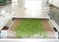 El equipo de sequía Moringa de la esterilización de la microonda del PLC sale de hojas más secas del horno