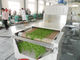 Fijación de esterilización de la sequedad del equipo de microonda de 20 kilovatios para las hierbas y las flores del té